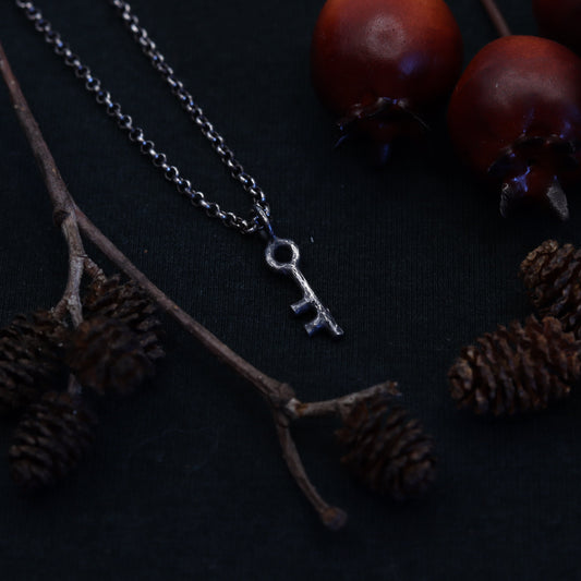 A sterling silver necklace with a round key pendant, displayed on a dark background with pine cones and red berries.