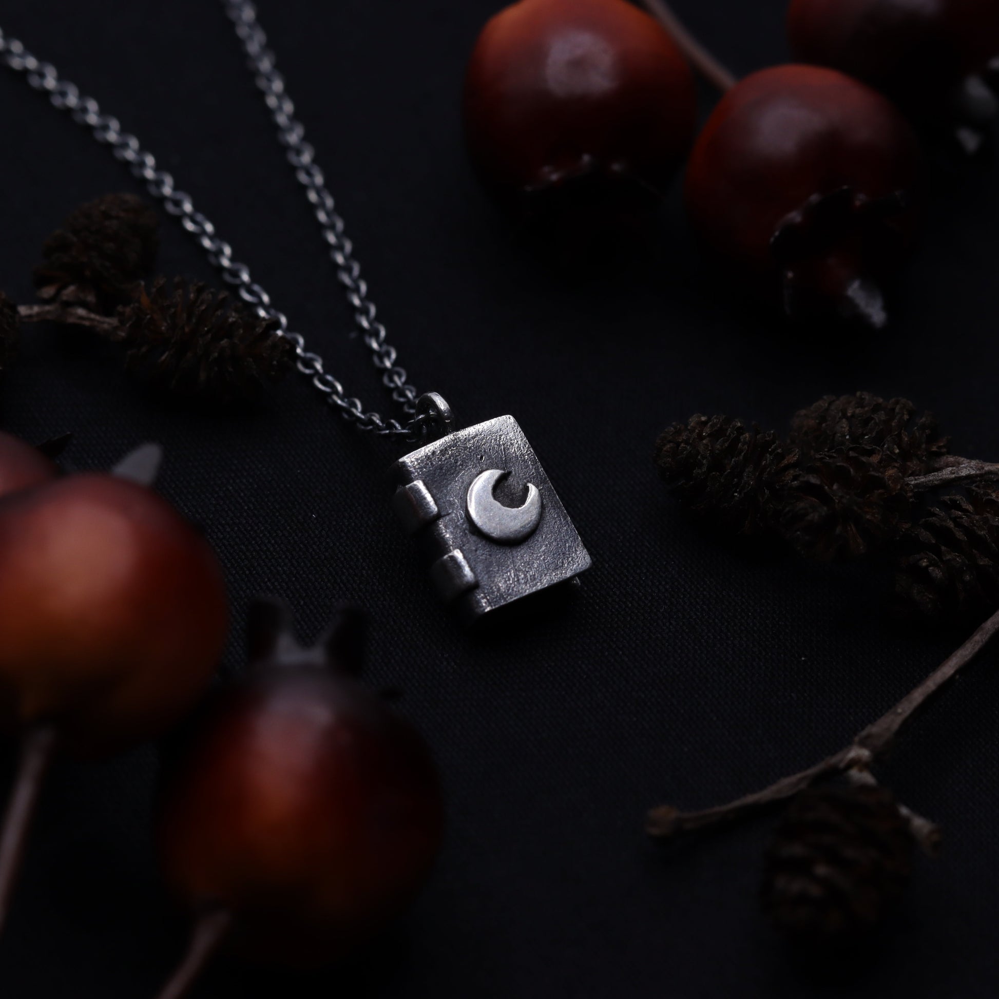 A silver necklace with a crescent moon book pendant, displayed against a dark background with scattered brown leaves.