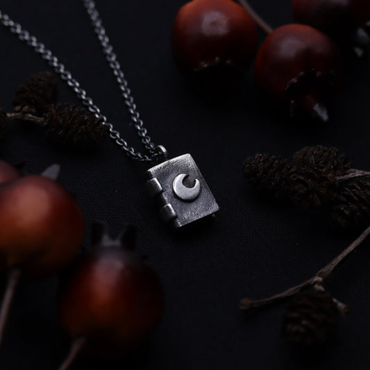 A silver necklace with a crescent moon book pendant, displayed against a dark background with scattered brown leaves.