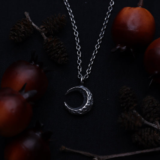 A silver necklace featuring a crescent moon pendant, displayed against a background of pine cones and dark leaves.