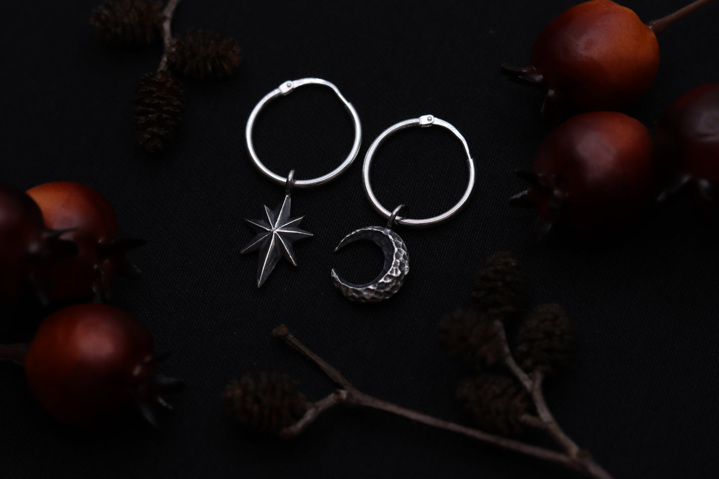 Moon and Star - Earrings