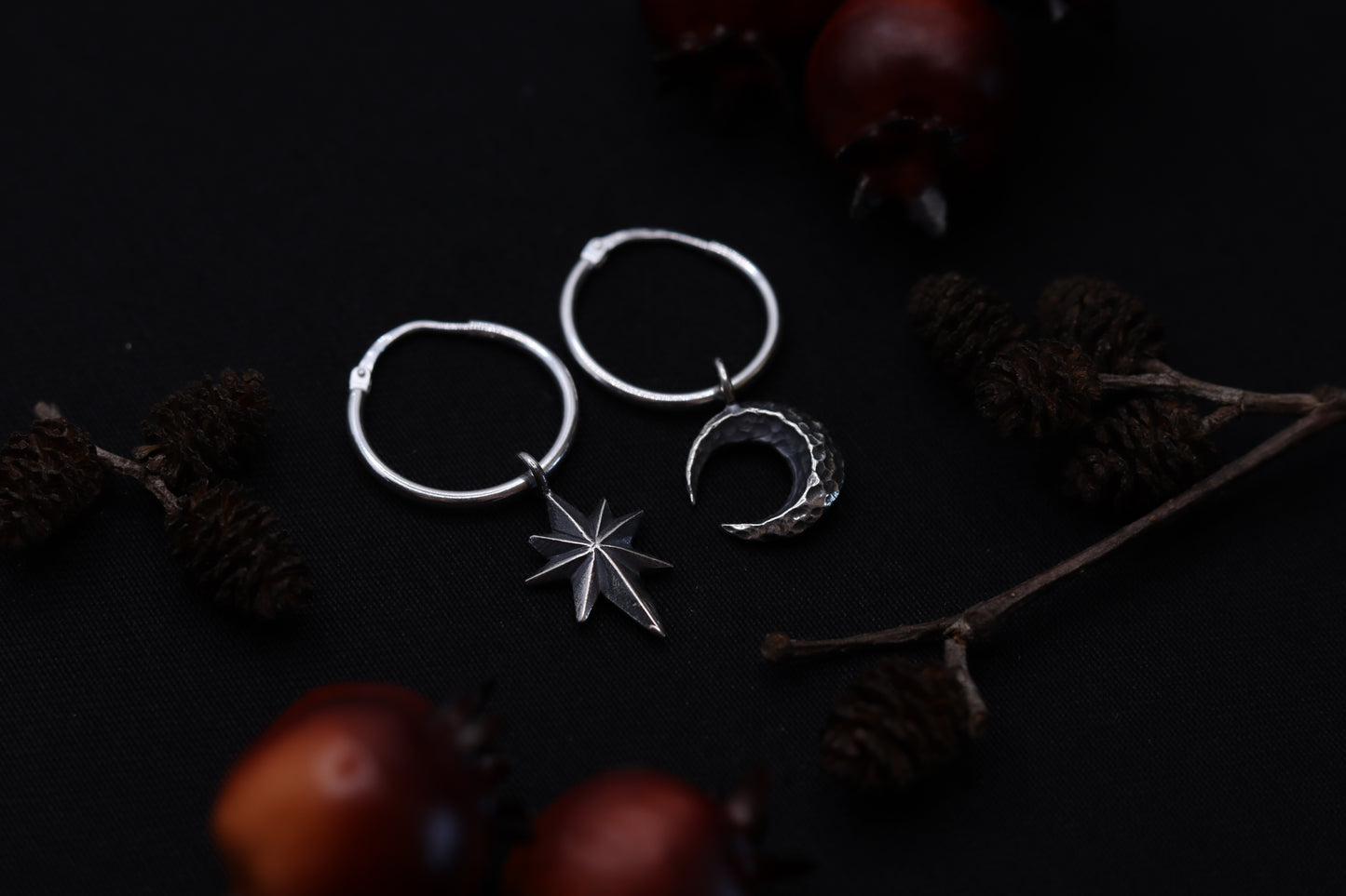 Moon and Star - Earrings