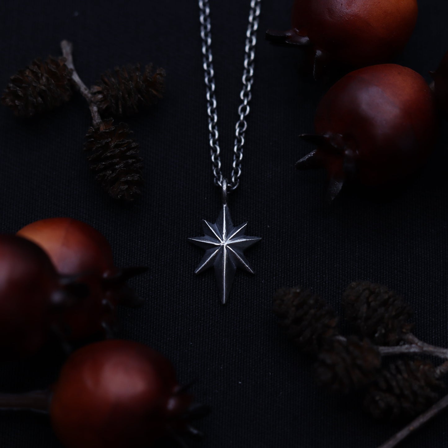 A silver star-shaped pendant necklace with a chain, displayed against a background of pine cones and dark leaves.