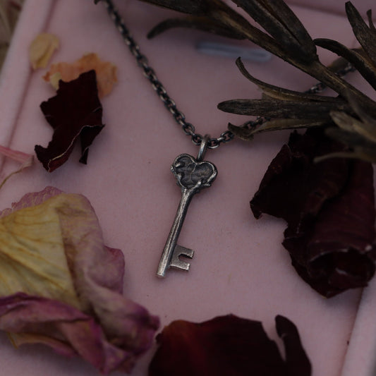 A sterling silver necklace with a key-shaped pendant, displayed among dried flowers on a pink background.