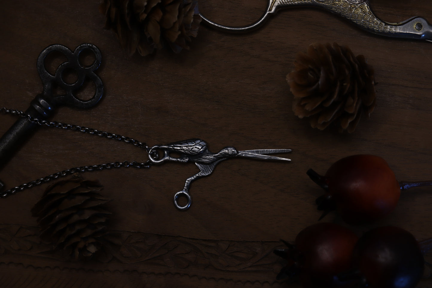 Adelaide's Scissors