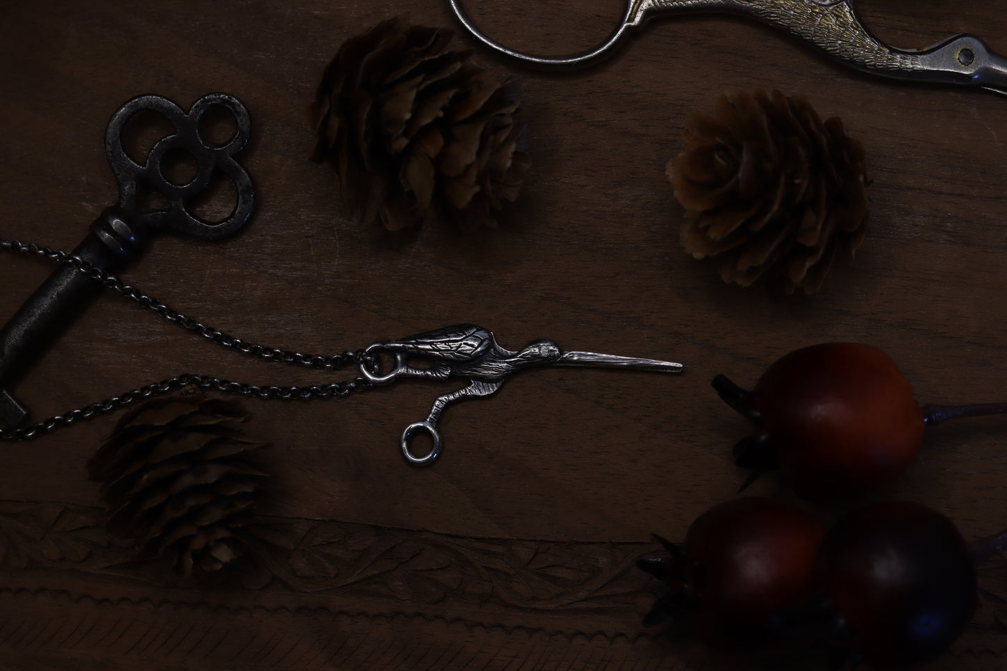 Adelaide's Scissors