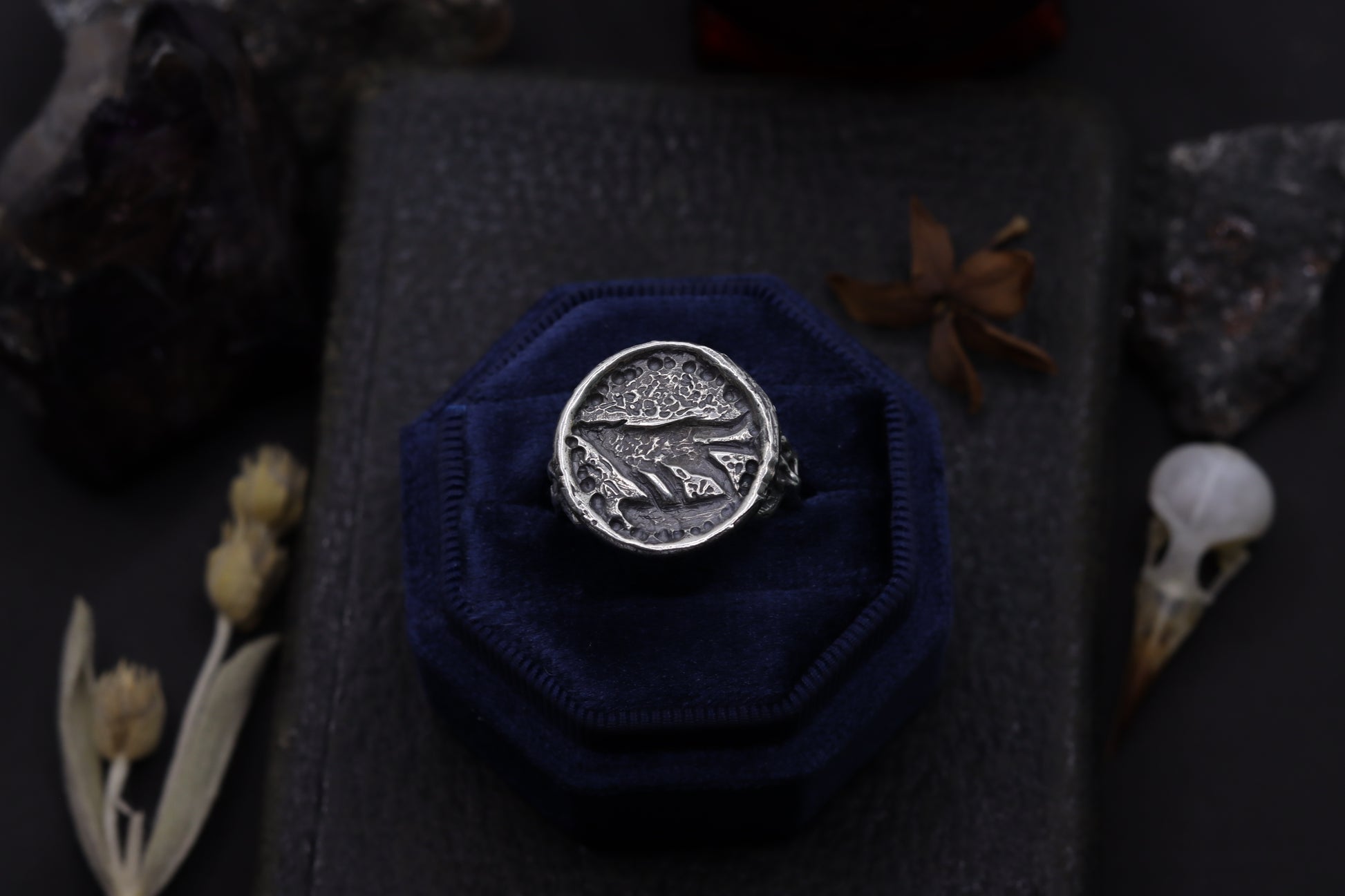 Silver wolf ring design on a blue fabric cushion, surrounded by dried plants on a dark surface.
