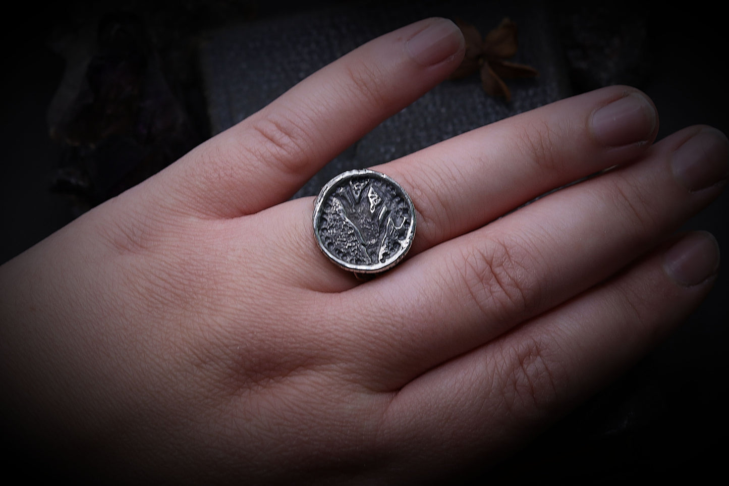 Hand wearing a Silver wolf ring design on a dark background