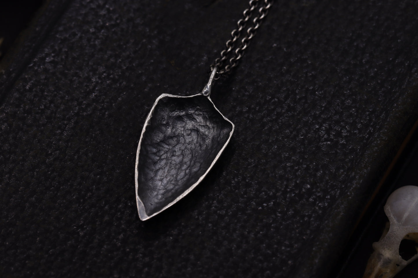 Silver shield-shaped pendant on a chain against a dark textured background