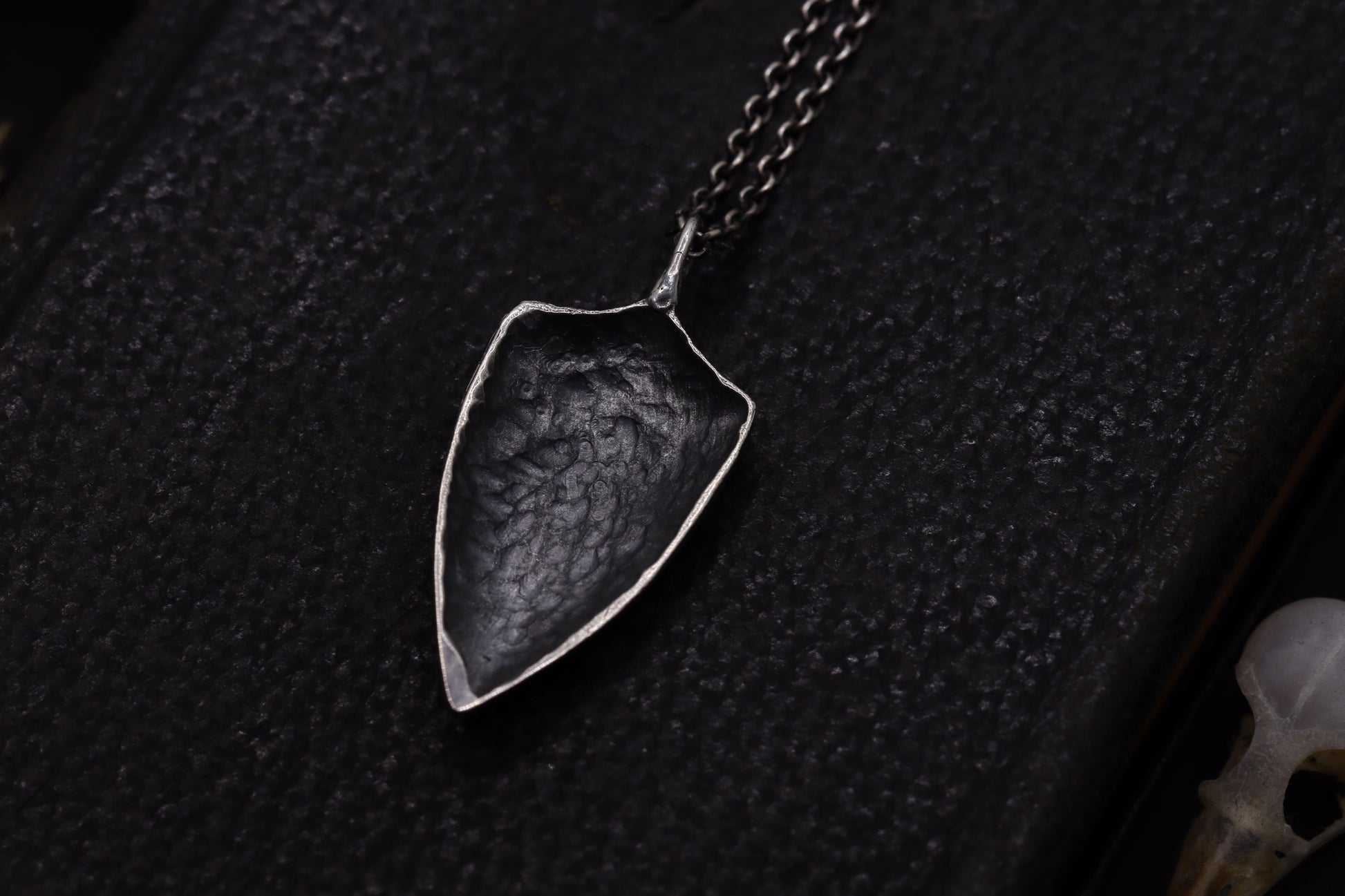 Silver shield-shaped pendant on a chain against a dark textured background