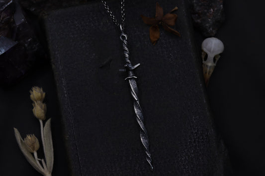 Silver sword-shaped pendant on a dark fabric background with dried plants.